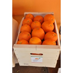 Laranja 17kg - New Hall