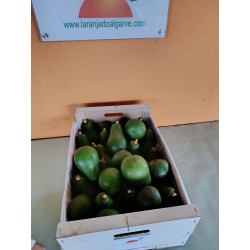 Abacate, 8 a 8,5kg de Abacate